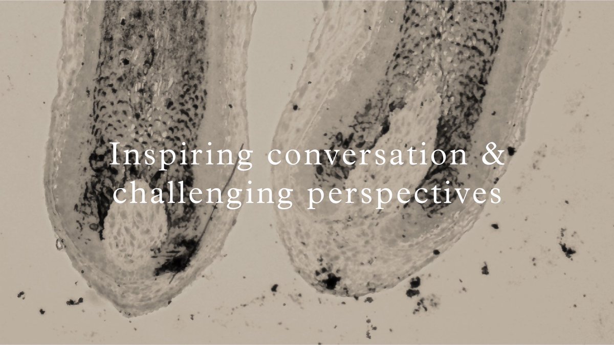 TotalHealthConf's tweet photo. Want to have your say on the importance of #scalpcooling protocols? Want to discuss what true patient-centric care looks like?

The #ScalpCoolingSummit is all about peer-to-peer conversation to explore global practices within #cancer care.

Register here: https://t.co/69Obl4sTCA https://t.co/7VysPzSYu8