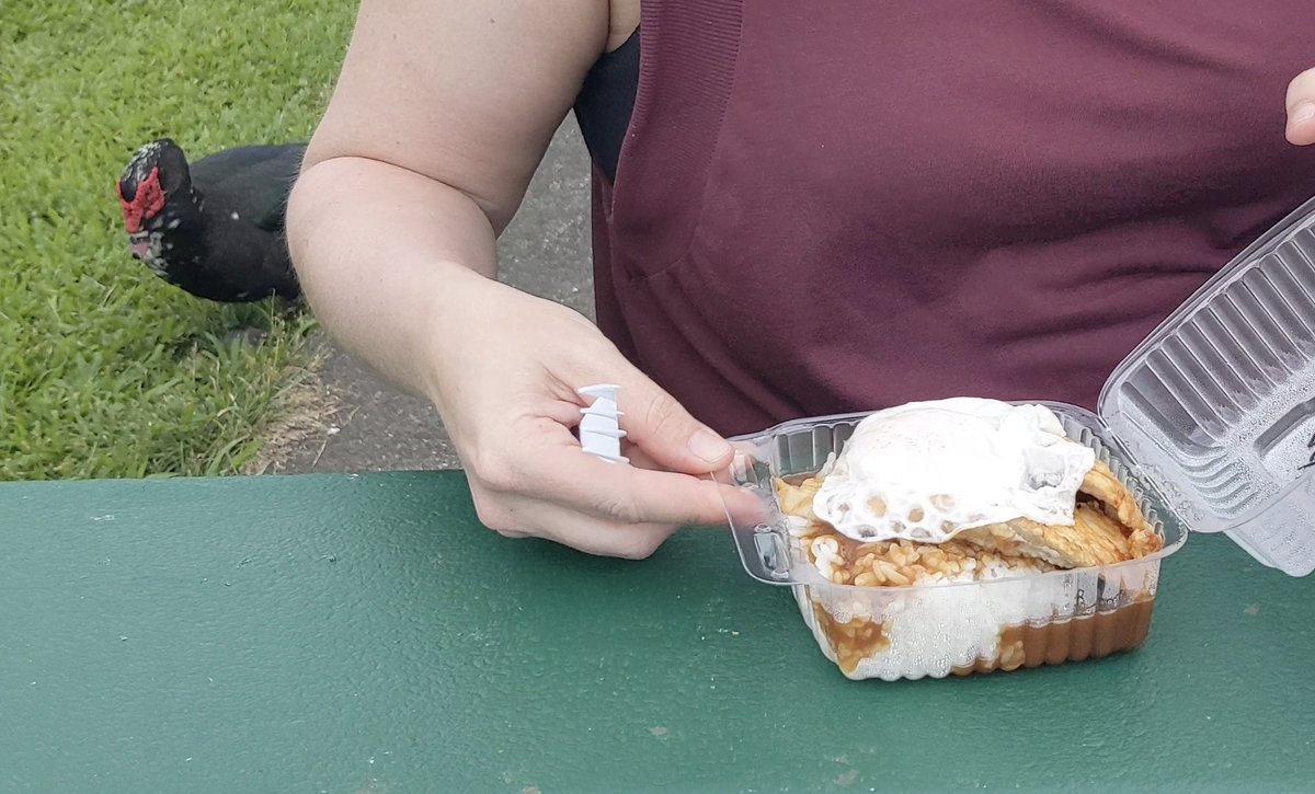 Day 3 (Part 5):
By this time we were hungry so we made our way into #Hilo and over to Cafe 100, a local spot with very affordable Hawaiian style comfort food. We had a #mocoloco (rice topped with a hamburger patty, gravy and a fried egg) &amp; a fish loco (pictured).