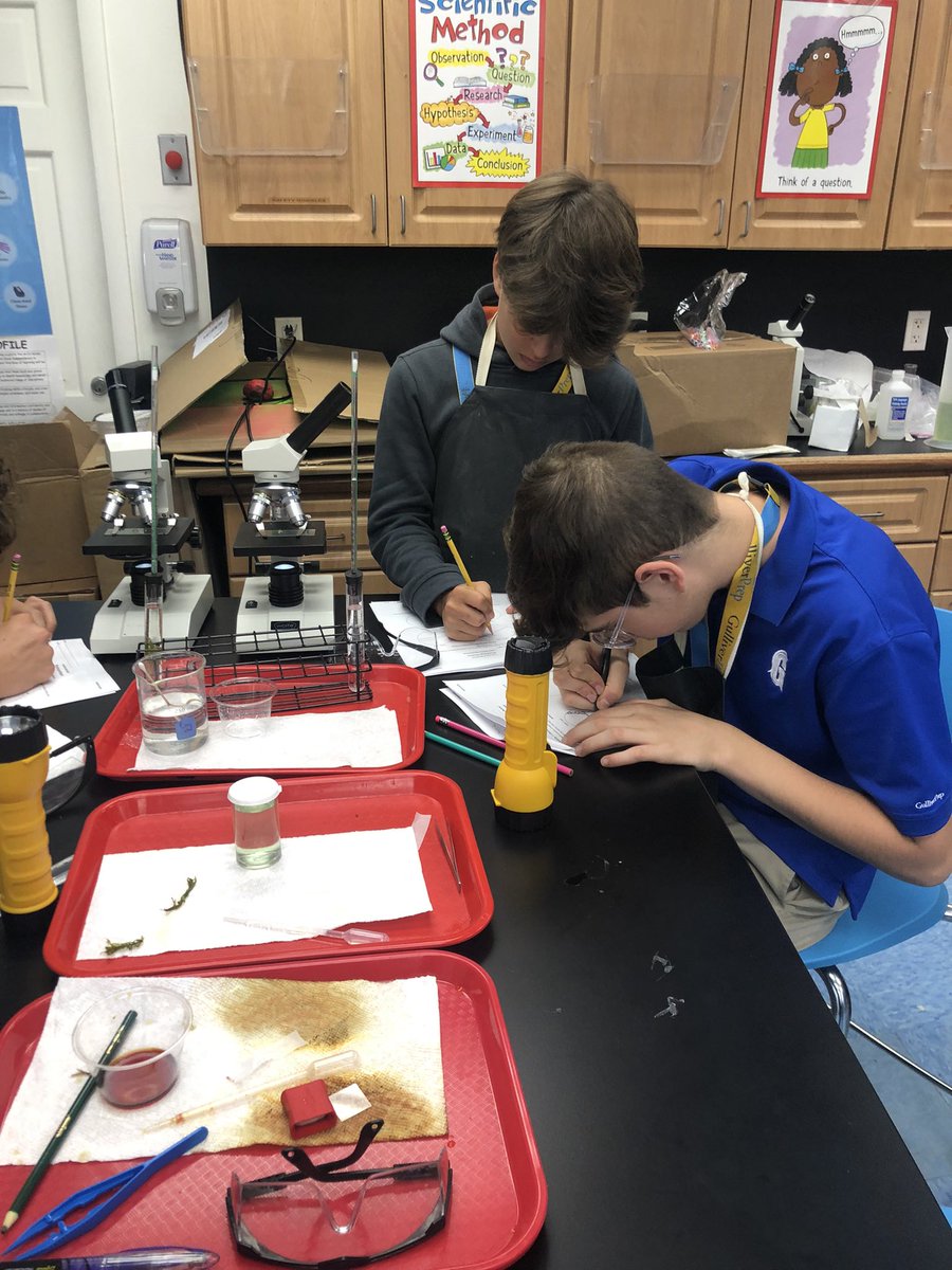 Photosynthesis Lab! Last lab of the year! #gulliverpride <a href="/GulliverPrep_/">Gulliver Preparatory School</a>