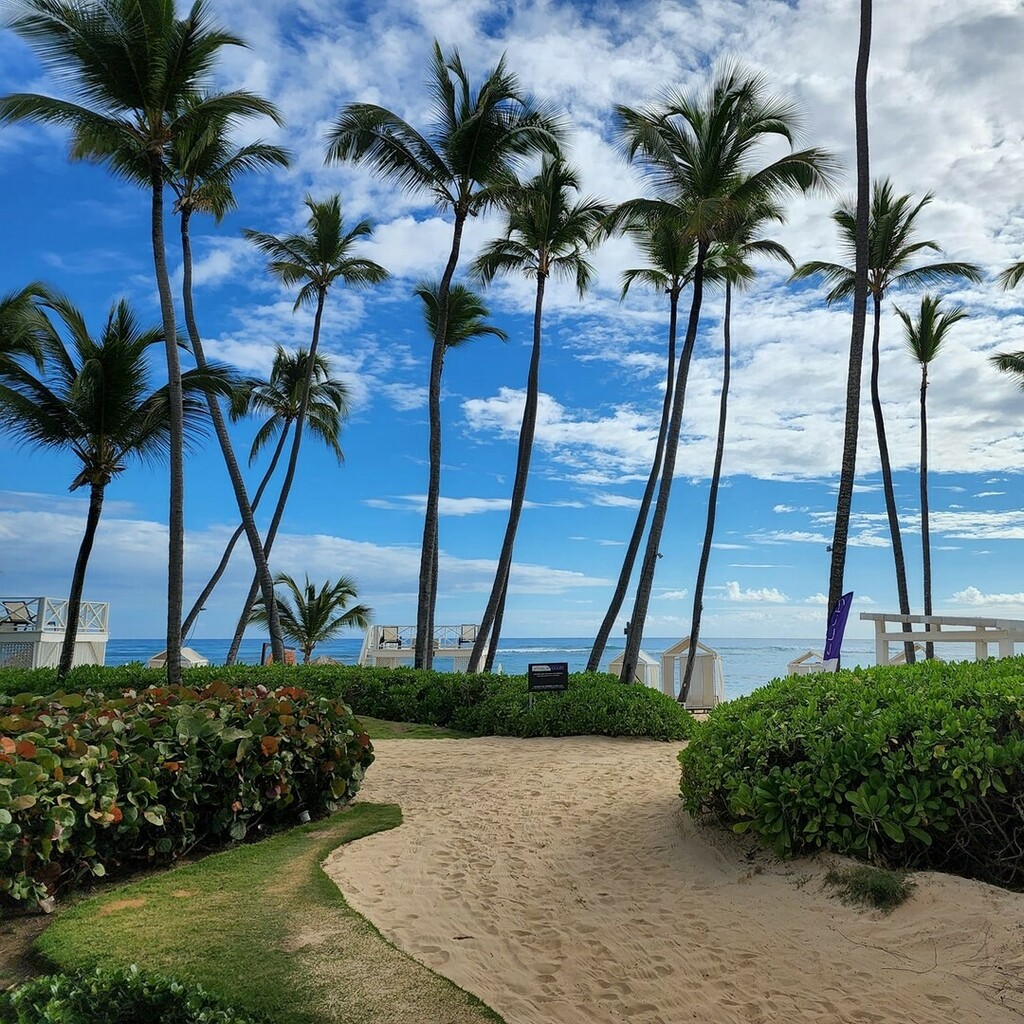 UnlimitedVC's tweet photo. Enjoy a #MagnificentDay at the beach of #BreathlessPuntaCana accompanied by delicious cocktails, the unparalleled service of their friendly staff, and the many inclusions that the #UnlimitedLuxuryยฎ plan has for you!
When do you visit us?
#BreathDeep #Livโฆ https://t.co/bdd7ulZ4sW https://t.co/Kzq28yqBLI