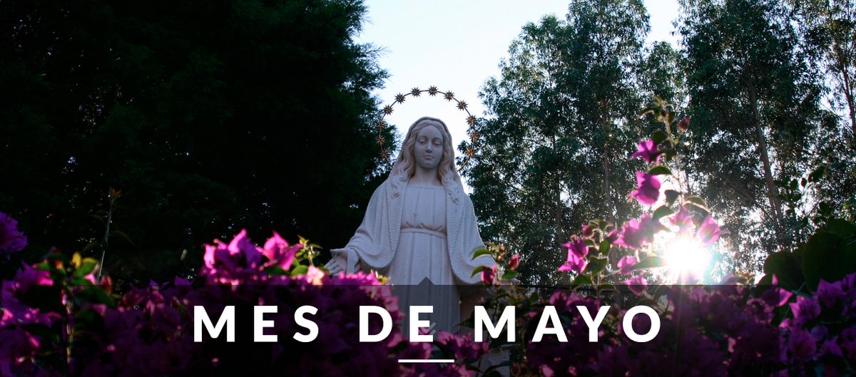MES DE MAYO
¡NO DEJES PASAR NI UN DÍA!
S. Pablo VI dio a la Iglesia una encíclica ,"MENSE MAIO", invitando a rezar a la Virgen María en el mes de mayo. Acogemos ahora la invitación que hizo e intensificamos nuestra oración y devoción a Nuestra Madre.
garabandal.it/es/otros/mes-d…