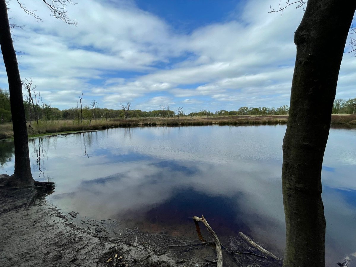 Bosw8erMarieke's tweet photo. Het was een mooie dag! Kennisuitwisseling met collega @GjerrytH #staatsbosbeheer #twijzel #opende https://t.co/OGx7wtNIGE