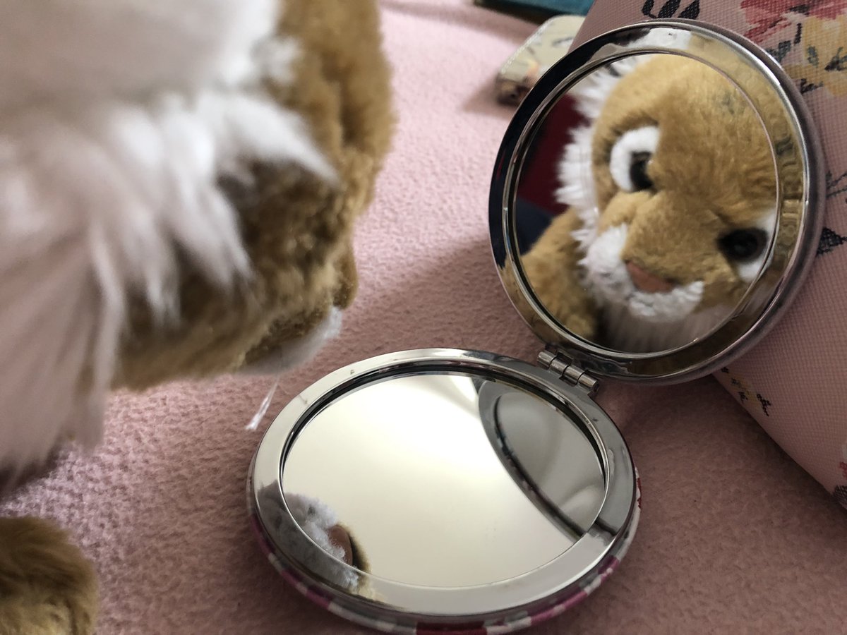 Melanie 🐯 tweet media