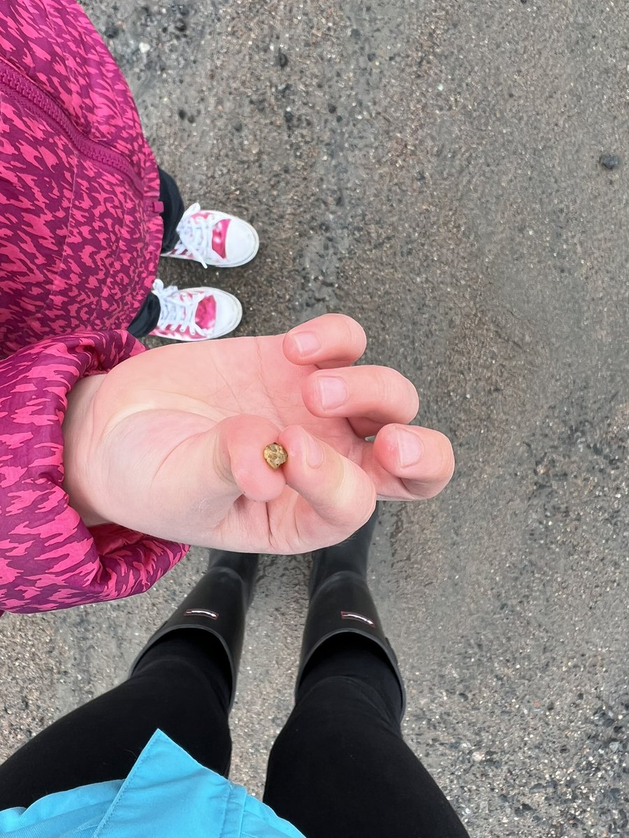 Laura Parrell tweet media