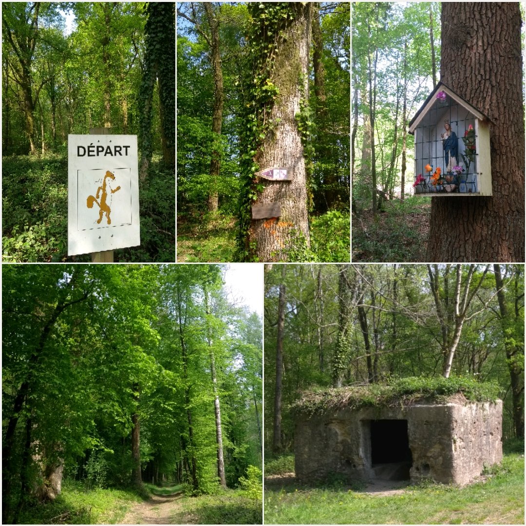frieke72's tweet photo. Prachtige #Ardennen in de #lente. 5km #wandelen bij #signylepetit.
Ons lief hondje helemaal in haar element ook (Geurtjes, water, stokken!) https://t.co/ulY0ZtJCnk