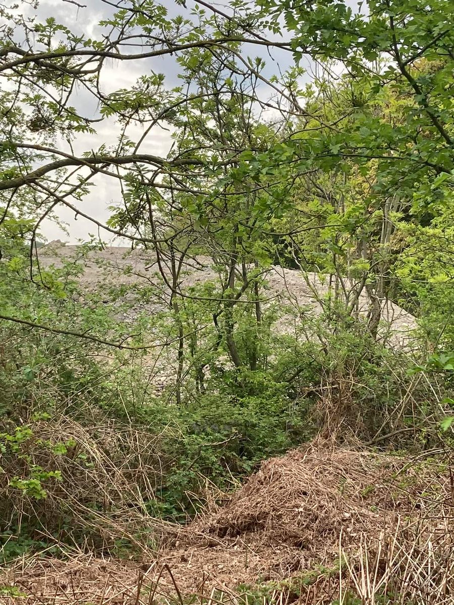 NoDroppingwell's tweet photo. The Bund is now higher than the Hedgerow. This photo was taken right next to the Golf Academy perimeter.
We're all doomed.
#StopDroppingwellTip https://t.co/gNN6YjKjmY
