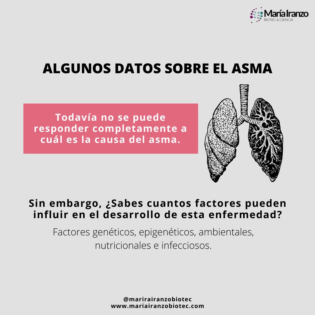MariaIranzoBio's tweet photo. ¡NUEVO POST! Hoy, día 3 de mayo, se celebra el #DíaMundialDelAsma y por eso vamos a dedicar este post a todas las personas que conviven con esta enfermedad. 

El asma es la enfermedad crónica respiratoria más común, que afecta a más de... ¡SIGUE LEYENDO! https://t.co/qUYRB8BLEN https://t.co/XxU8gopQUT