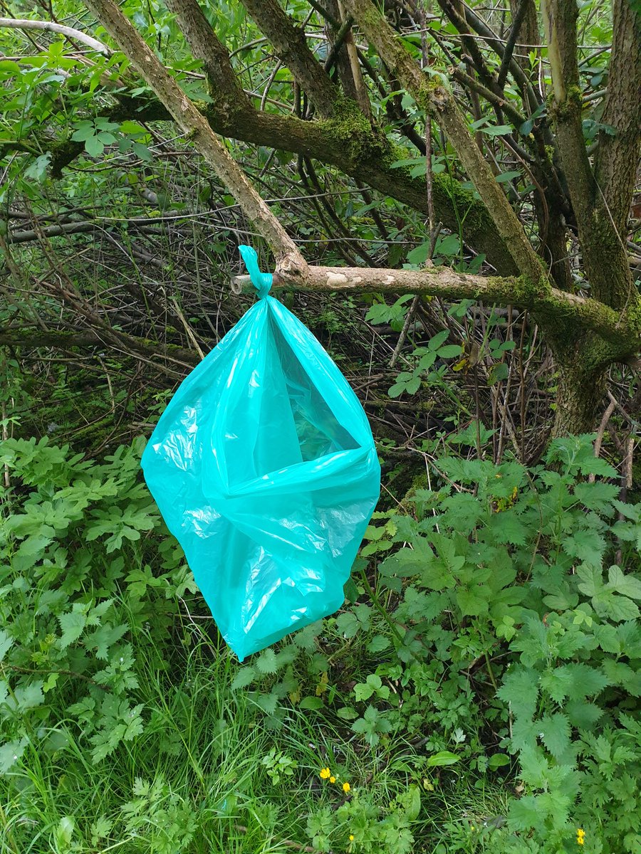 teamcrowland's tweet photo. Quick tidy up and a walk around before work no issues the fight continues 💚 💚💚💚💚💚  @WarriorsWaste @MCCWythenshawe @CroWchg @doddster1986 @WythenshaweTeam https://t.co/y66ehDQrrm