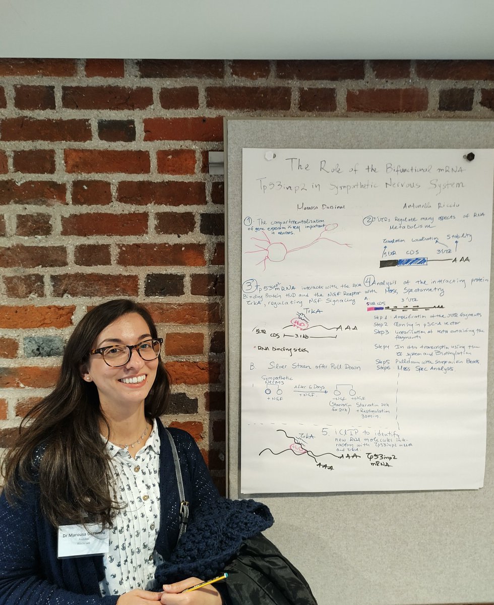 Riccio_Lab's tweet photo. Our lab members are improving their scientific communication skills in the improvised poster session in this year's @LMCB_UCL retreat. Any favourites? https://t.co/APyE2fKYUa