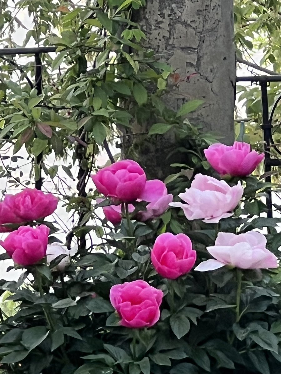 mirrosme's tweet photo. Ending this long weekend with beautiful wishes, smells, colours and shapes… getting ready for new projects and moving with the ongoing ones…
Stay tuned!
#ProjectsWeLove #ExpressionIsEverything https://t.co/DCvEGajABP