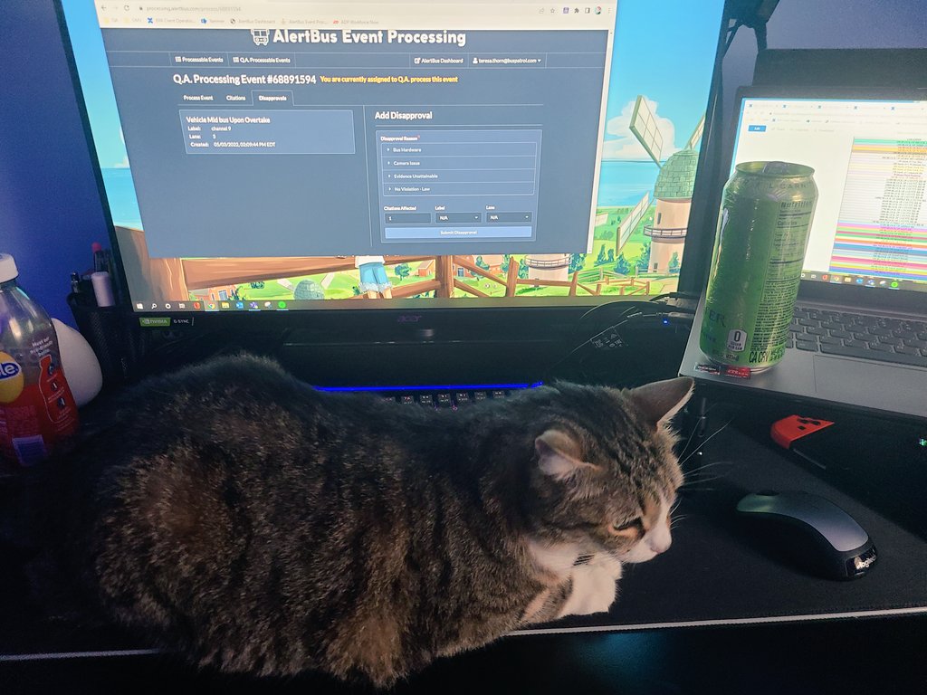 Foosha_Art's tweet photo. The perks of working from home~ 😍😂
I am clearly so productive lol https://t.co/Y0Yherbp0e