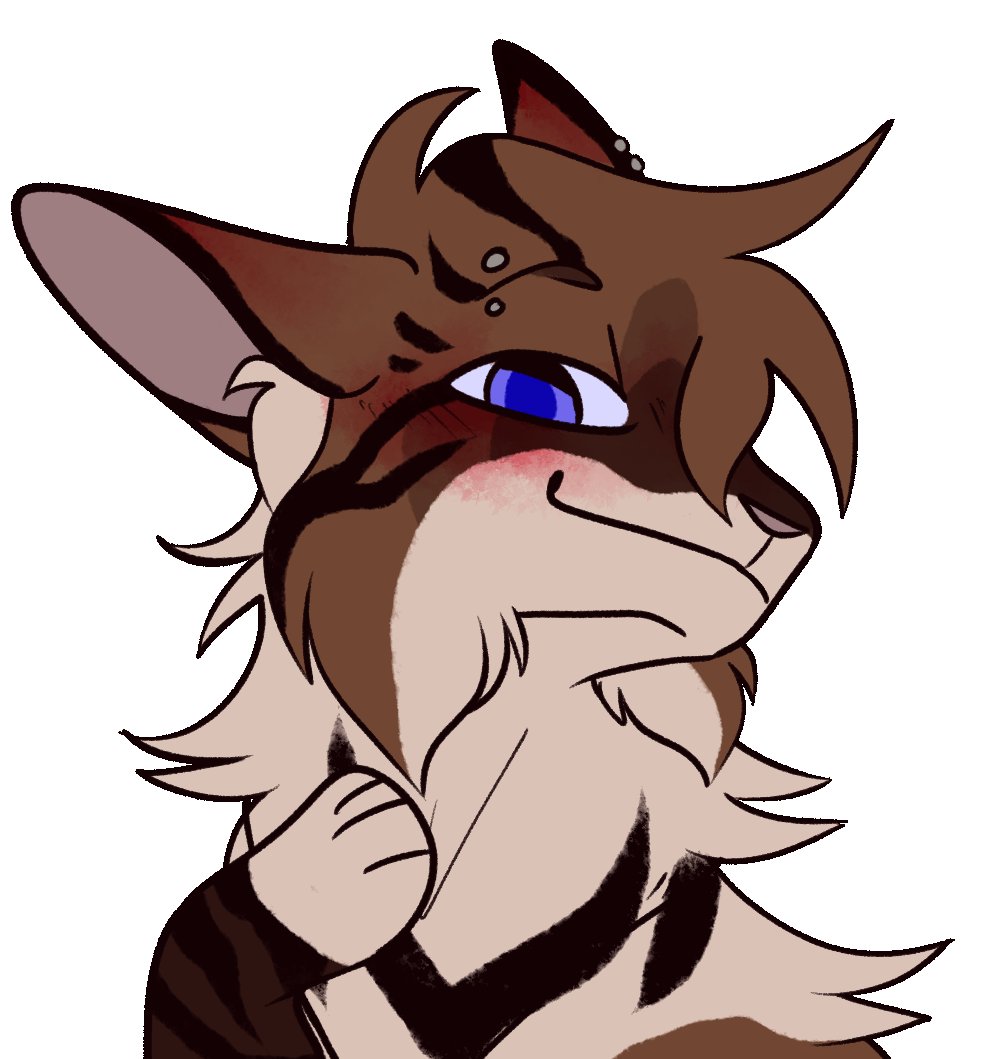 sieepysparrow's tweet photo. Heads up! Commissions are open for a bit! Feel free to dm me here or on discord! (My tag is under contacts on the website :) )
https://t.co/221qqjUKbm https://t.co/2PsETRHEJq