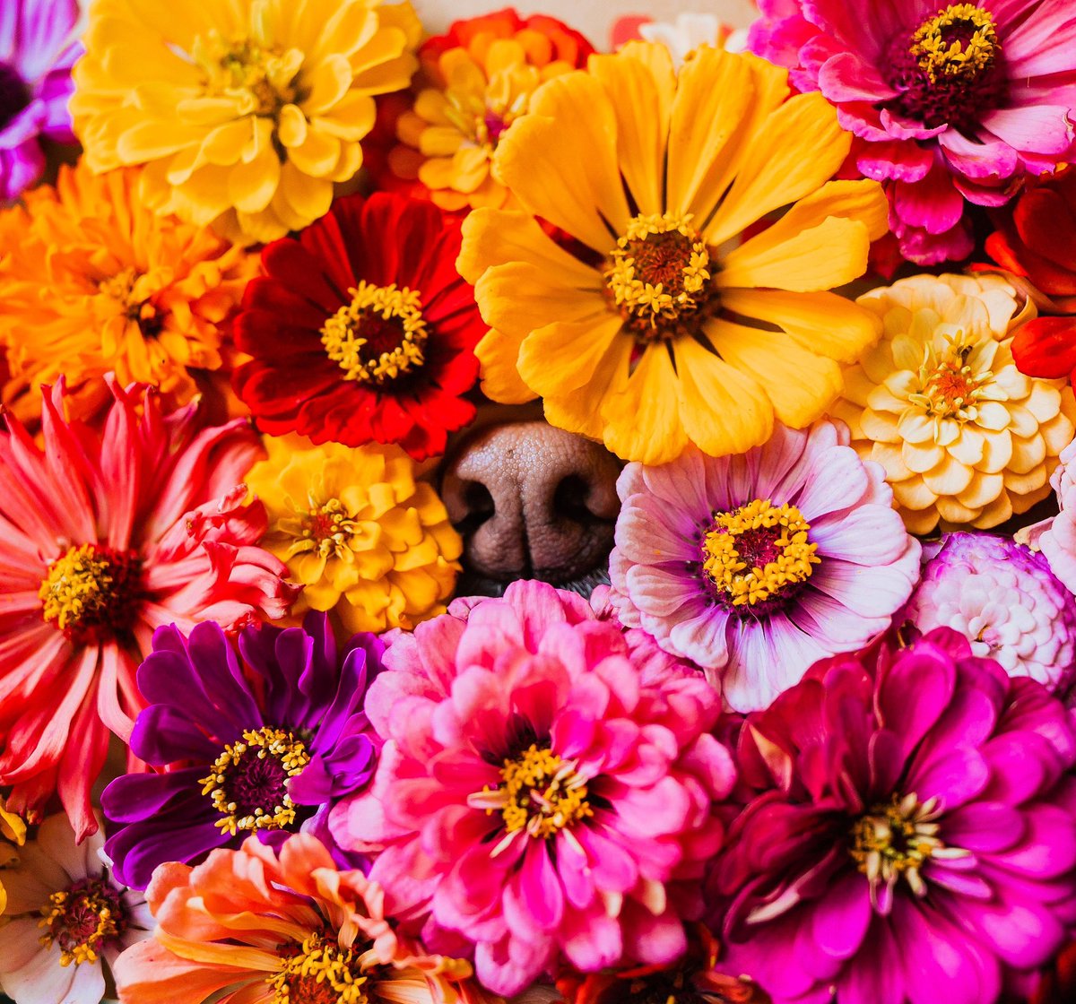 Ally, Kai & Riley tweet media