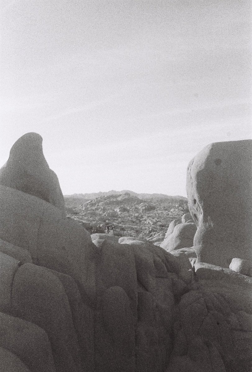 PhotographyPoff's tweet photo. Joshua tree b&amp;w #joshuatree #35mmfilm https://t.co/irF6oZ0SuU