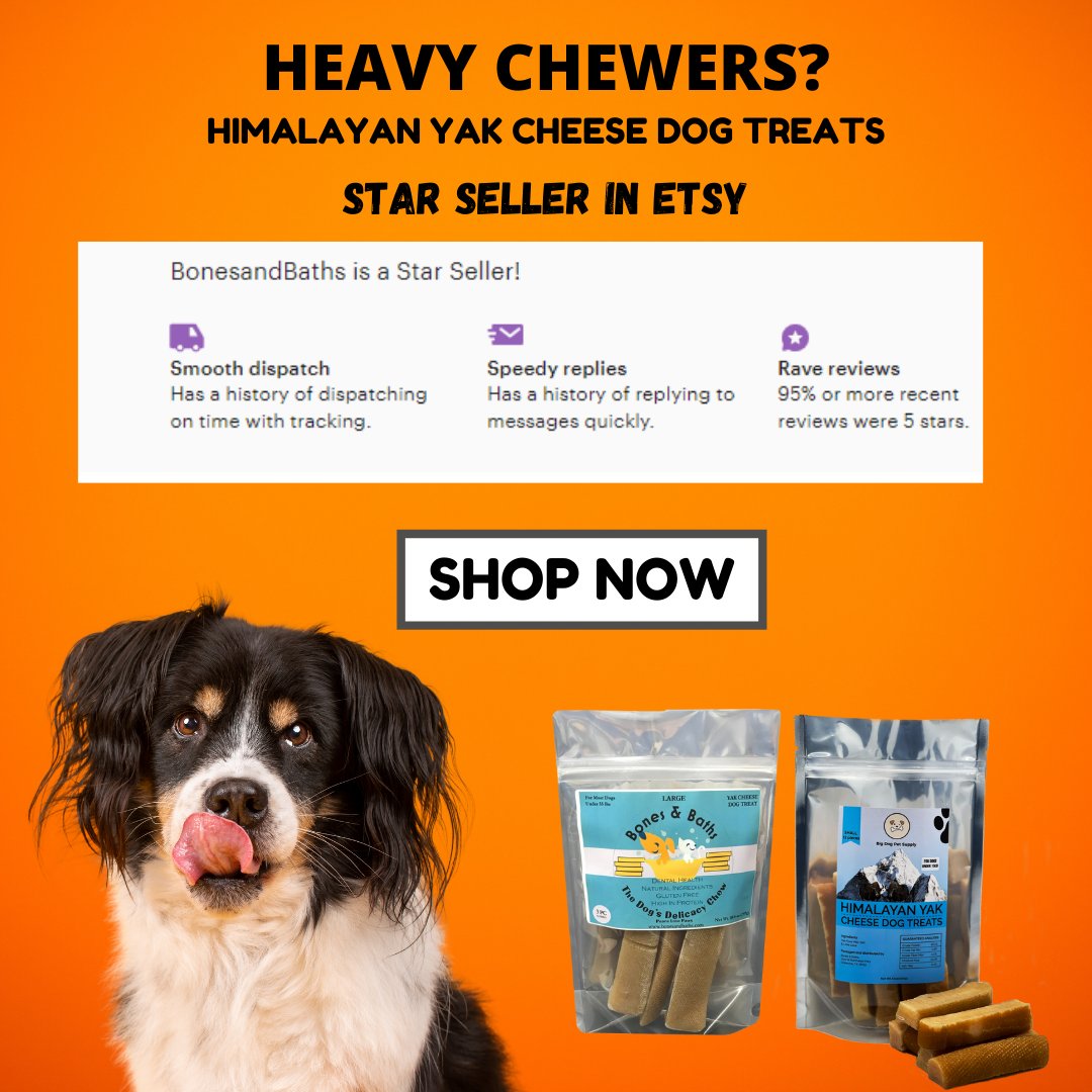 Bones & Baths Pet Care (@bonesandbaths) / Posts / X