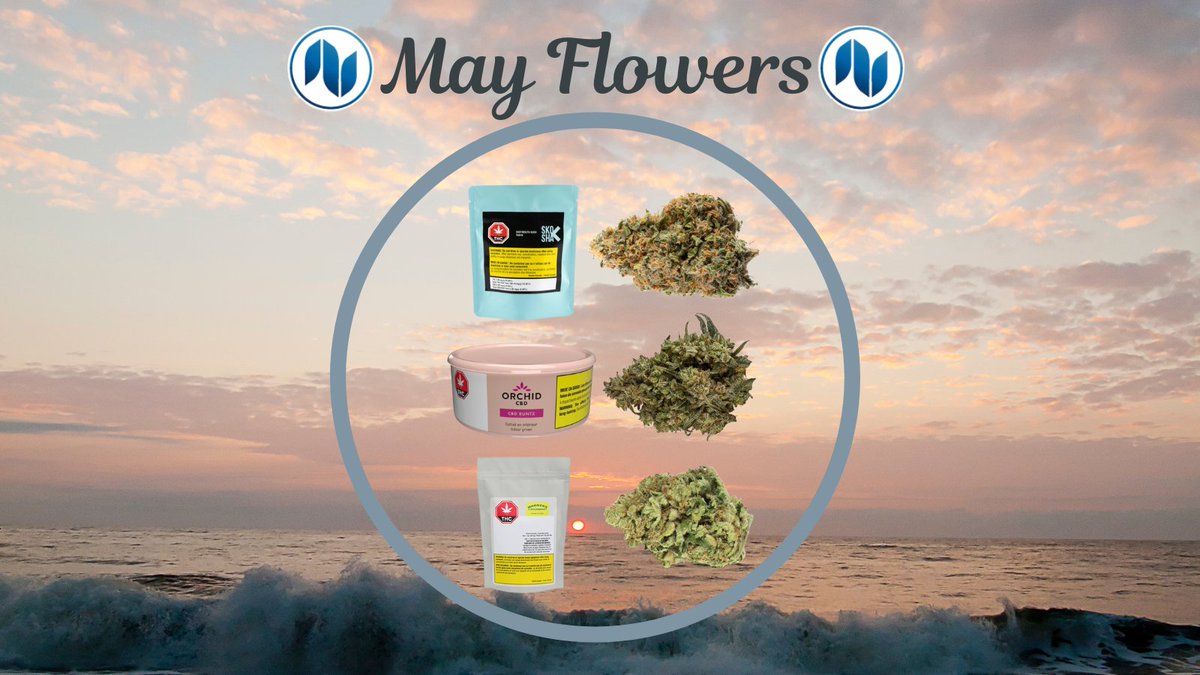 Northerntokes's tweet photo. April Shatters Bring May Flowers @ Northern Tokes Oshawa!

Check them out in-store or online here ----> https://t.co/NHwiWKN3xQ 

DONT FORGET - WE DELIVER!  🚙 🚘 https://t.co/vUSnI2pk2R