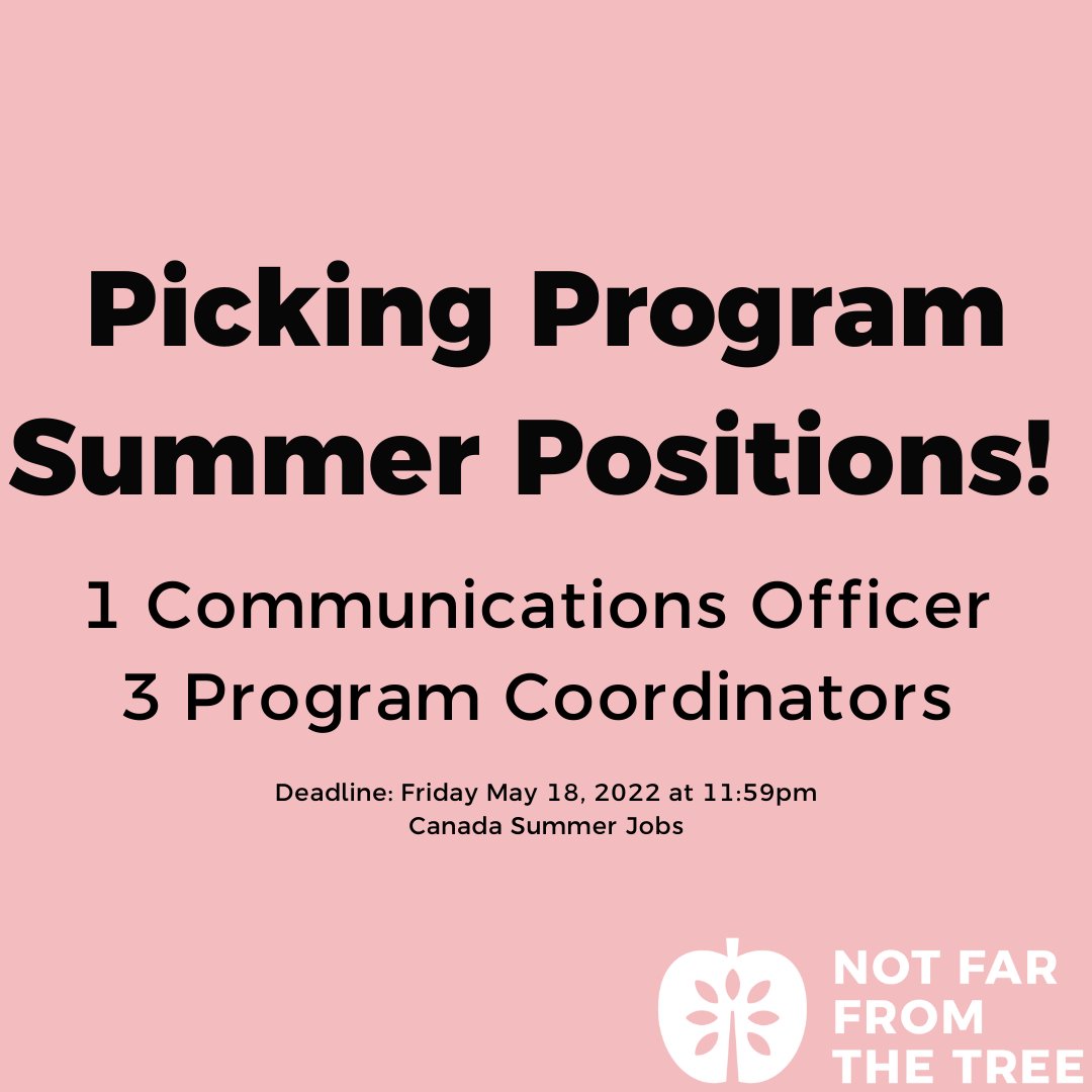 NFFTT's tweet photo. We are hiring for the summer! Deadline to appy is May 18th at 11:59pm!  https://t.co/DWIbbbxFy5 https://t.co/zjmbyhfcFf