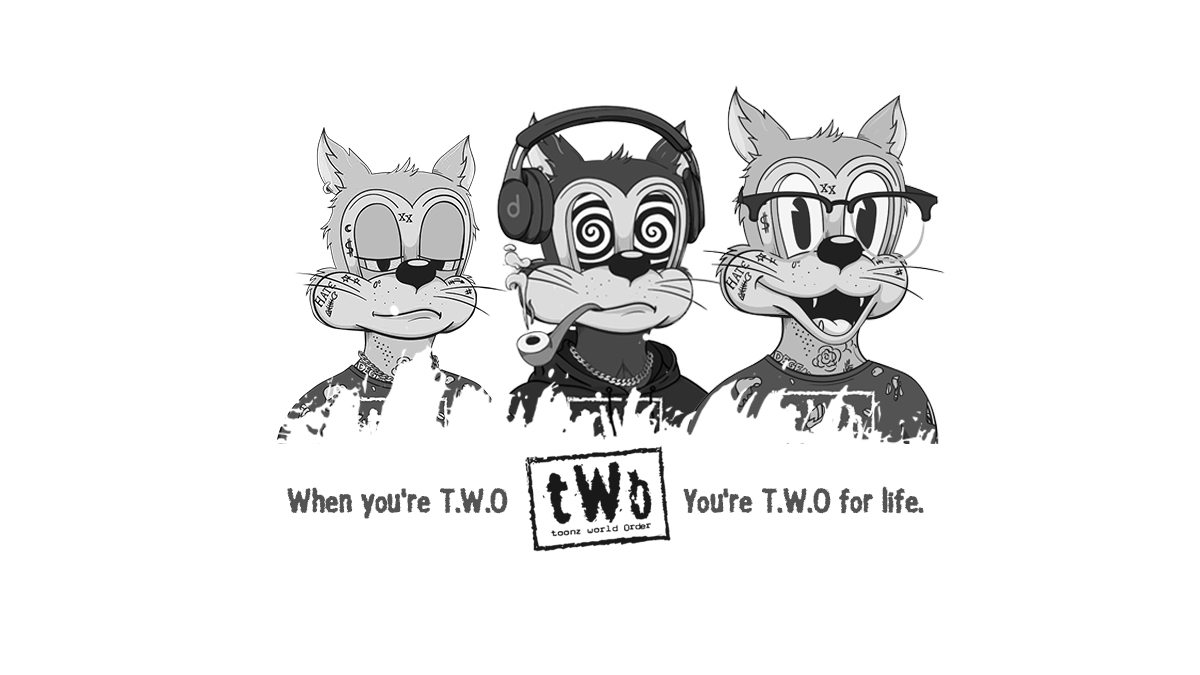 ToonzWorldOrder tweet media