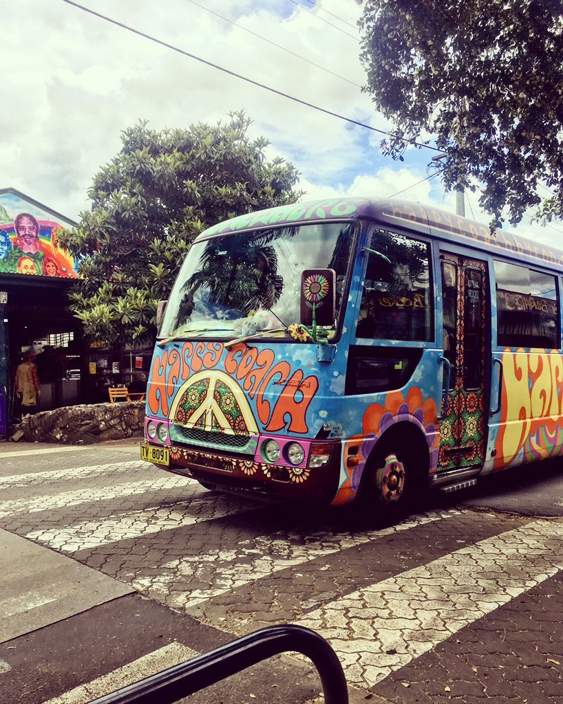 amiezz38's tweet image. Saw this absolute vibe in Nimbin @DippiesNFT #vansandvibes