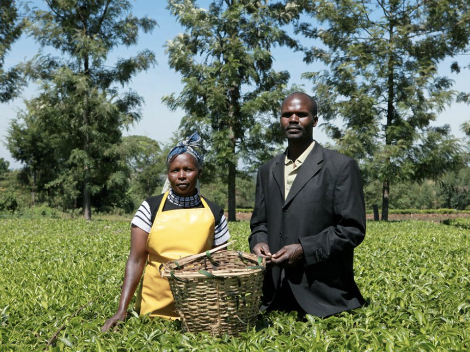 RnfrstAlliance's tweet photo. "Rainforest Alliance certification is good because it emphasizes environmental conservation, water harvesting, worker welfare and proper disposal of waste." -Simon &amp; Esther Langat of Nyanza Province, Kenya, a husband-and-wife smallholder team who produce for the Momul Tea Factory https://t.co/e8phAPFTk1