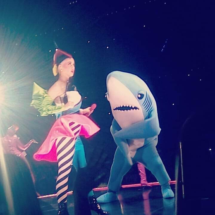 urivadercat's tweet photo. Ya 4 años de asistir y ver por 1era vez a mi diosa @katyperry 🥺😍 en su Witness tour 😻 https://t.co/b67auREcKZ