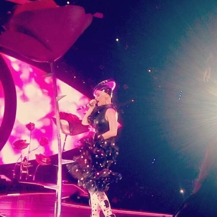 urivadercat's tweet photo. Ya 4 años de asistir y ver por 1era vez a mi diosa @katyperry 🥺😍 en su Witness tour 😻 https://t.co/b67auREcKZ