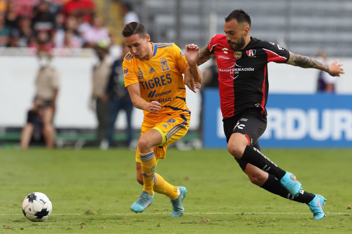 TigresOficial's tweet photo. ▶️ REPORTE MÉDICO

📌 Nuestro jugador, @FlorianThauvin, presenta una ruptura fibrilar grado uno en la cara posterior del muslo izquierdo.

Su reincorporación al equipo queda sujeta a evolución.

@christusmx Hospital Alta Especialidad https://t.co/WWN3AbRcAO