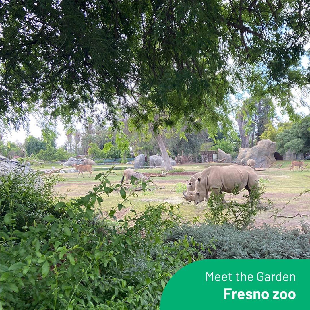 ExploreVGardens's tweet photo. #MeetTheGarden The Fresno Chaffee Zoo inspires the wonder of our natural world and provides an engaging learning environment. Our 39-acre facility is home to more than 200 species of animals and many species of plants. https://t.co/kt4wp0ClJi