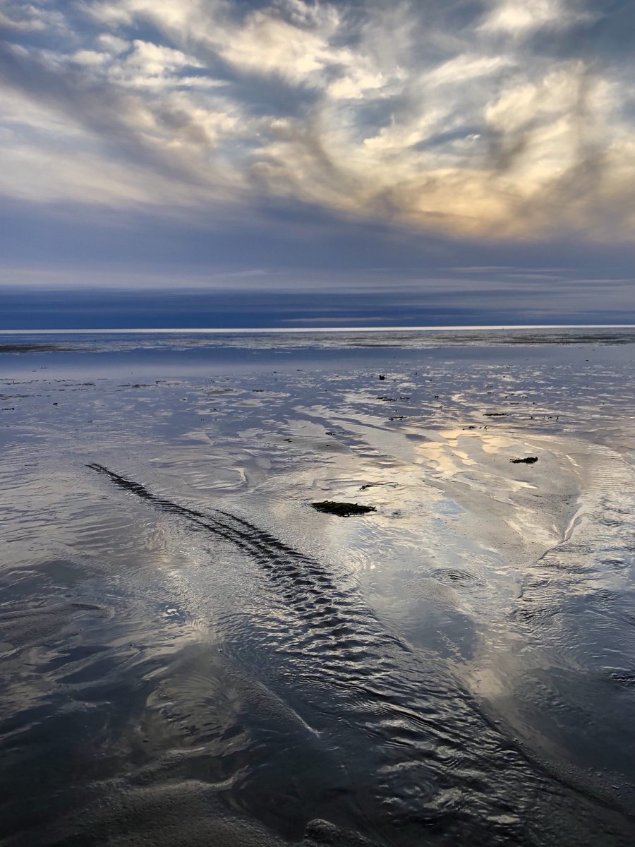 petermarteka's tweet photo. Cape Cod sunset was skunked by the clouds in the west, but on the bright side saw an alligator in the water. #Campground #Eastham #notagator https://t.co/5STFueCMgq