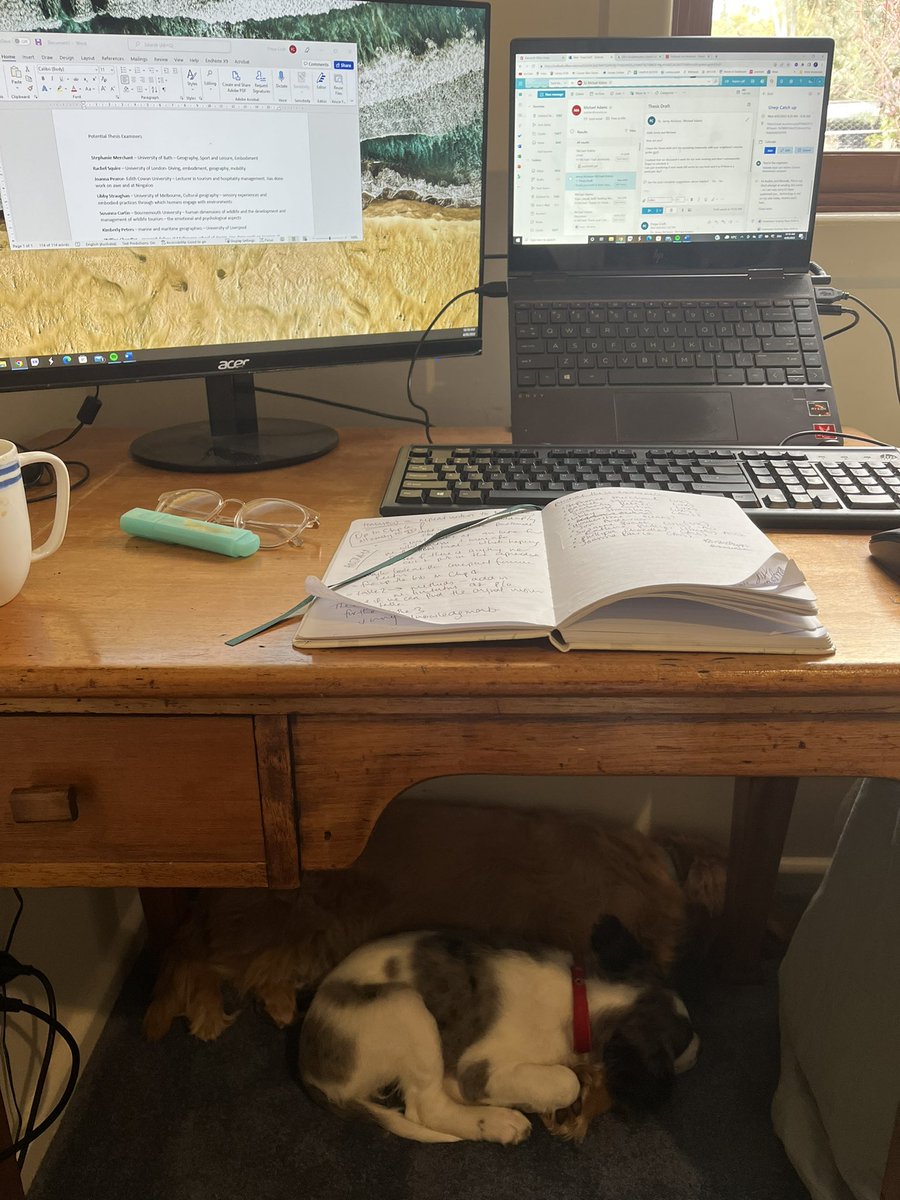 Working from home…with the help of two very keen dogs