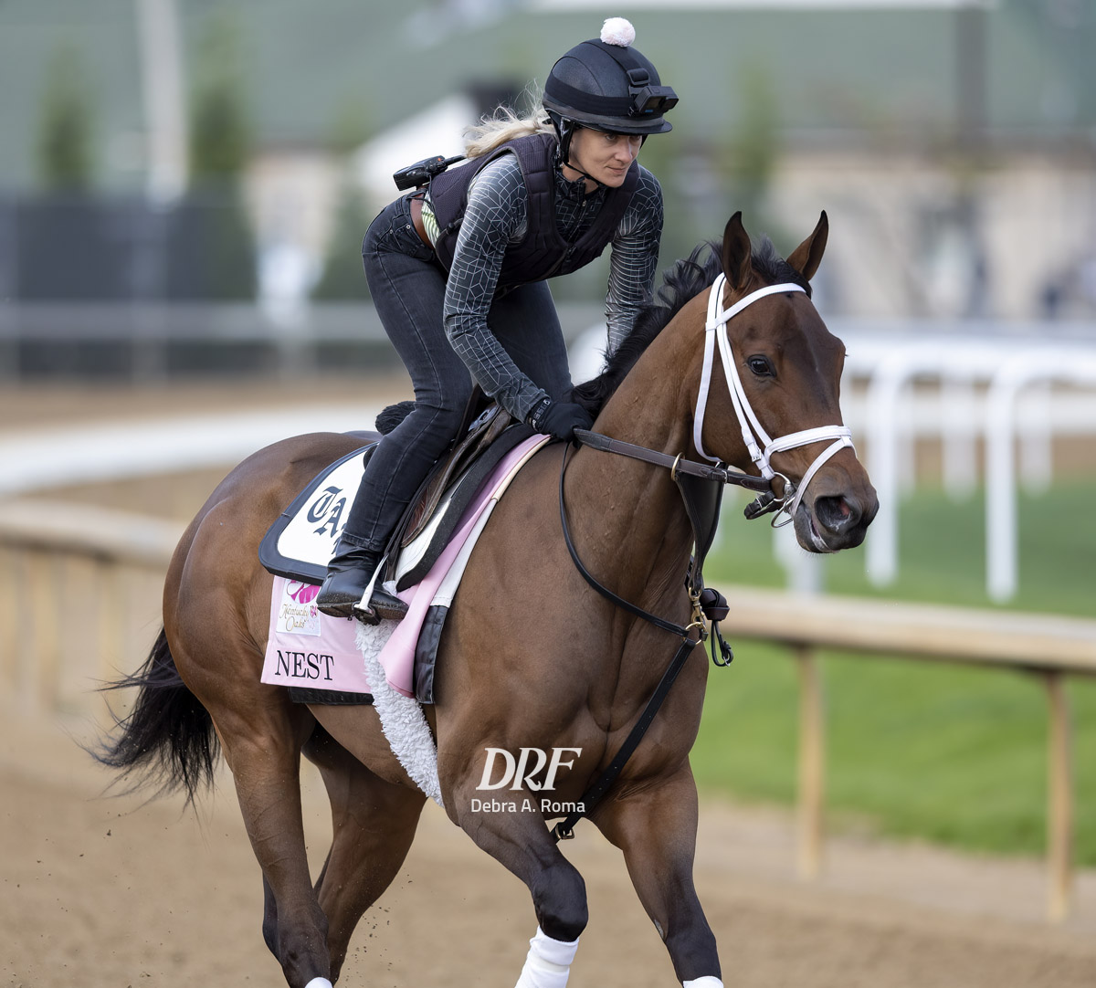 Daily Racing Form on Twitter: