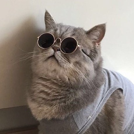 kitandcats's tweet photo. https://t.co/tdpzZzVMuW