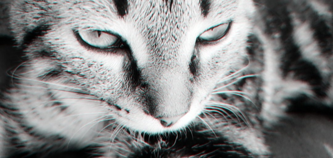 niroshifter's tweet photo. https://t.co/bI1uiv8Drz