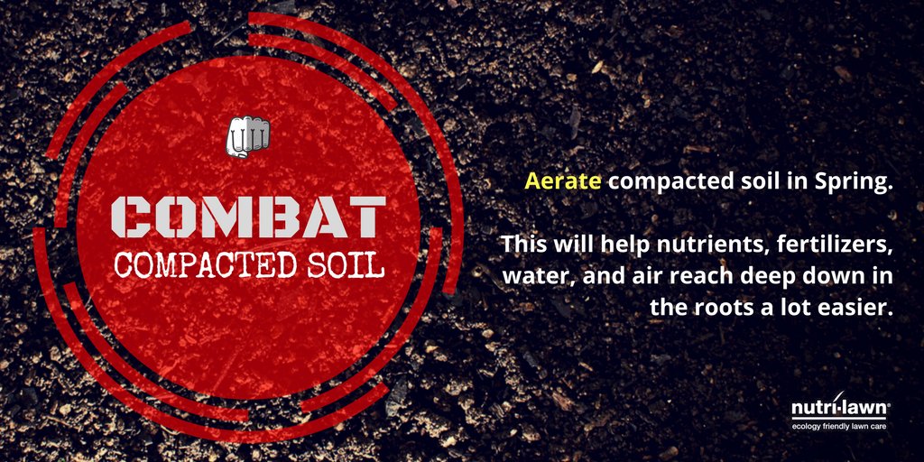 NutriLawnVan's tweet image. #TipTuesday // Aerate #compacted soil in the Spring. This will help nutrients, water, and air reach deep down in the roots a lot easier. 👇

Learn about Core Aeration: hubs.li/Q017LqjM0