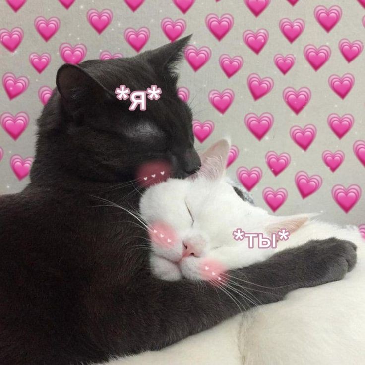 𝙰𝚗𝚒𝚗 tweet media