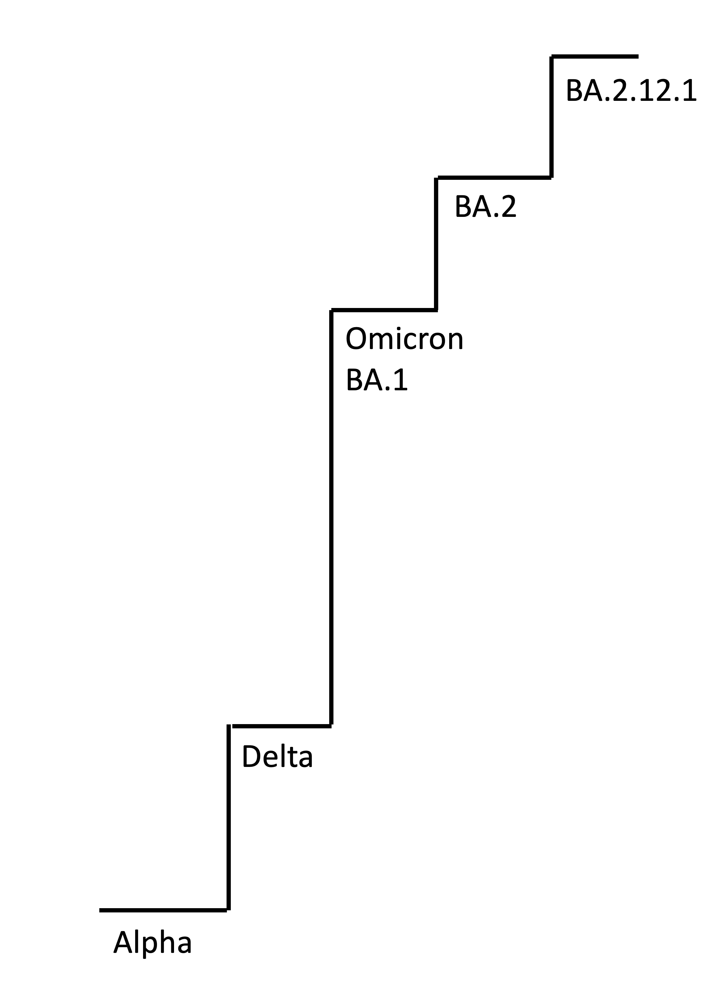 metric system ladder