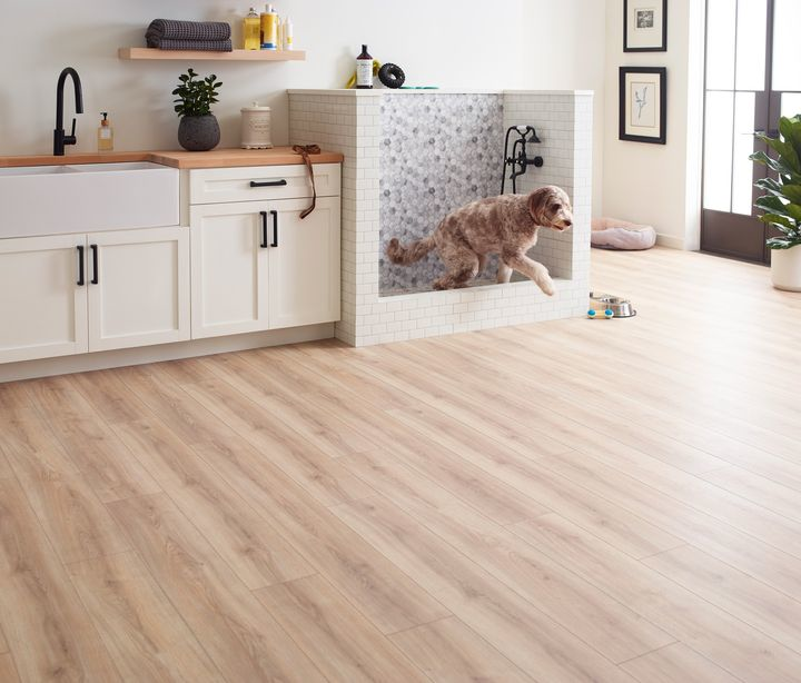 Timeberstep: Gorgeous. Waterproof. Four leg approved. engineeredfloors.com/products #engineeredfloors #ef #flooring #dreamweaver #timberstep