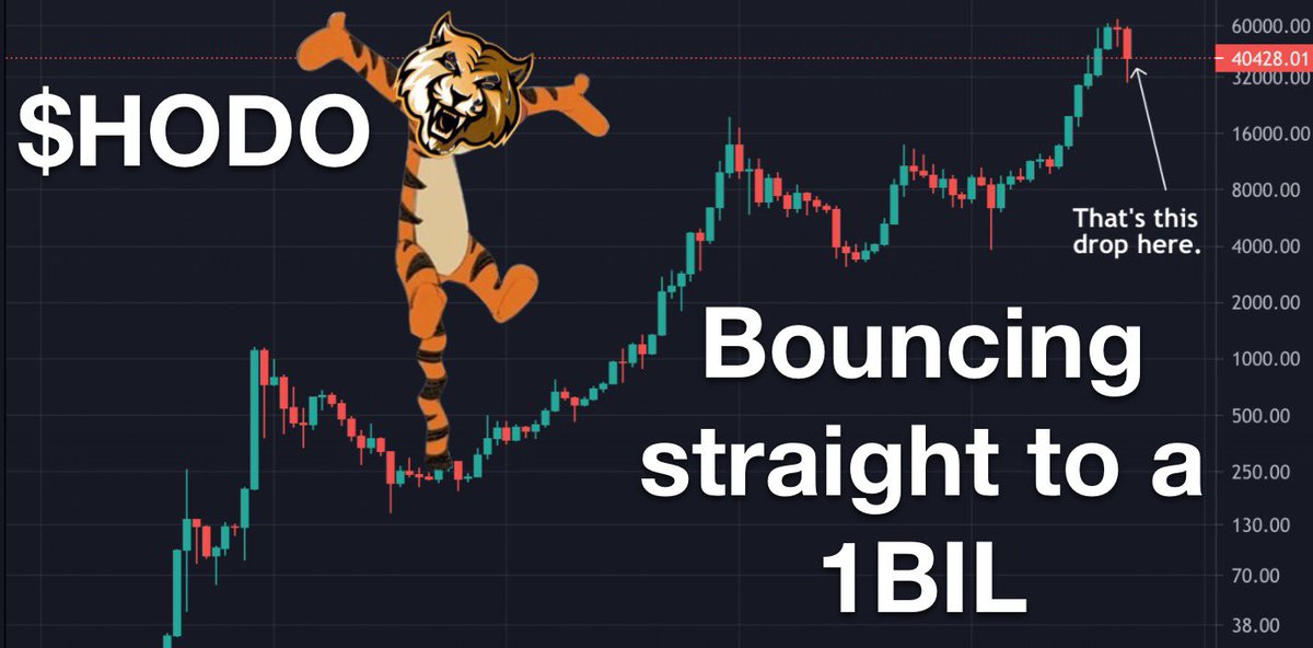 BountyBitch69's tweet photo. @davidgokhshtein Did someone say $HODO to a HUNDO🤑
HUGE BURN JUST HAPPENED 10% of total supply have been 🔥🔥🔥🔥🔥 FOREVER 
Supply 900k
MC 275k
Renounced Contract
Lp 🔐 for 80 years 
2022 Year of the 🐅 #SHIBARMY #ETH #Shibnobi #BabyDogeCoin #Giveaway #cryptocurrency #Crypto #SHINJA #1000Xgems https://t.co/yRo1GLxo28