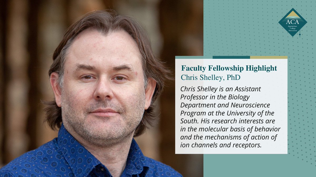 Appalachian College Association tweet media