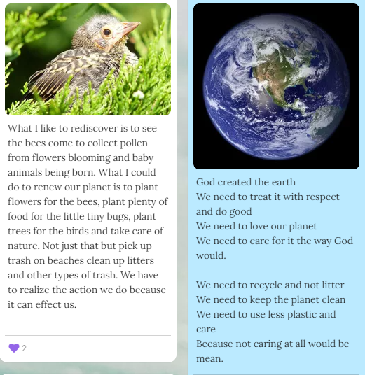 esteves_ms's tweet photo. #CEW2022 After, "Wangari's Trees of Peace" 
we reflected or wrote a poem of how we can Rediscover, Restore and Renew our natural world. What is the importance of rediscovery?  In what ways can we restore God's creations and renew new life on Earth?  @HCDSBVirtual https://t.co/ojzkJUM59S