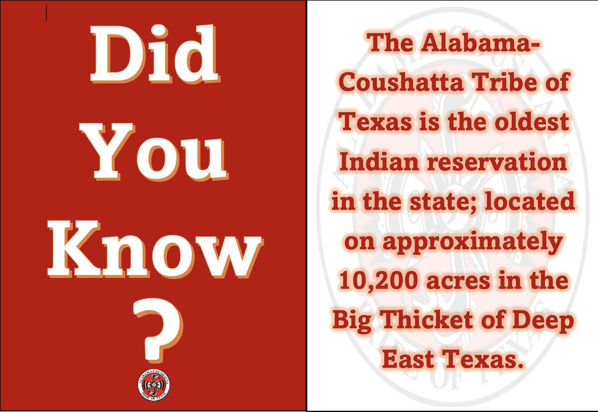 SupportACTribe's tweet image. 