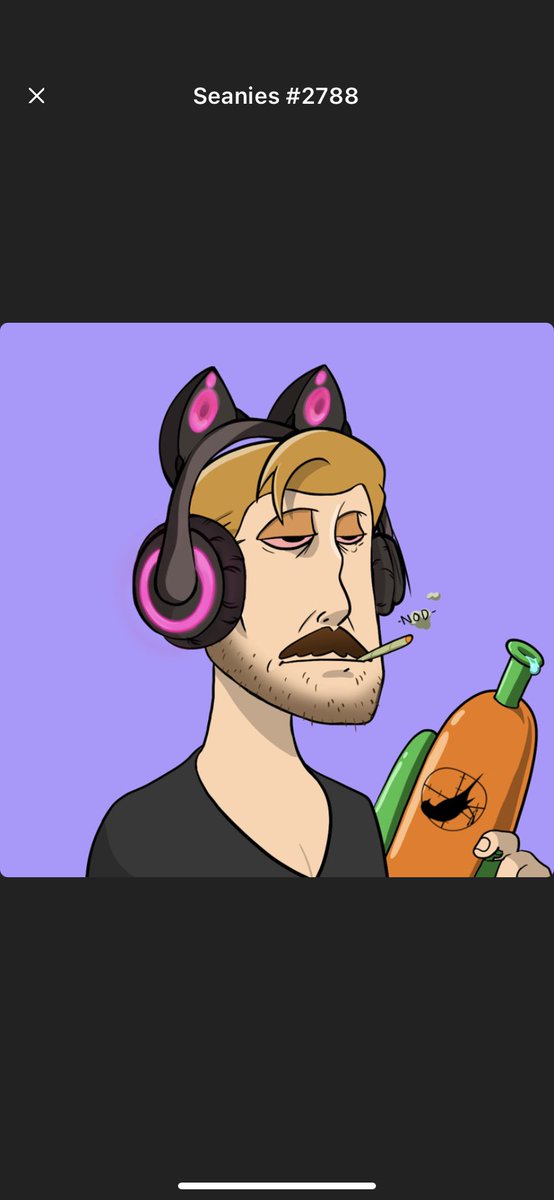 NathanEfrat's tweet image. Got my #SeaniesNFT @CorganArt