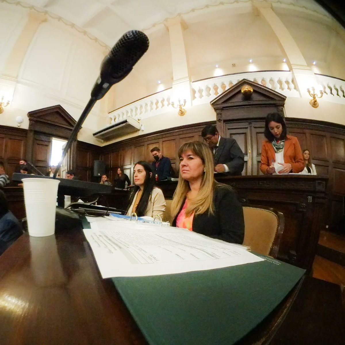 AleBarro5's tweet photo. Martes de sesión...orgullosa de hacer política 💪✌
Felicitaciones compañero @alebermejomza, vicepresidente del la cámara de senadores.
.
.
#mujeresenlapolítica https://t.co/tr47u0LrYY