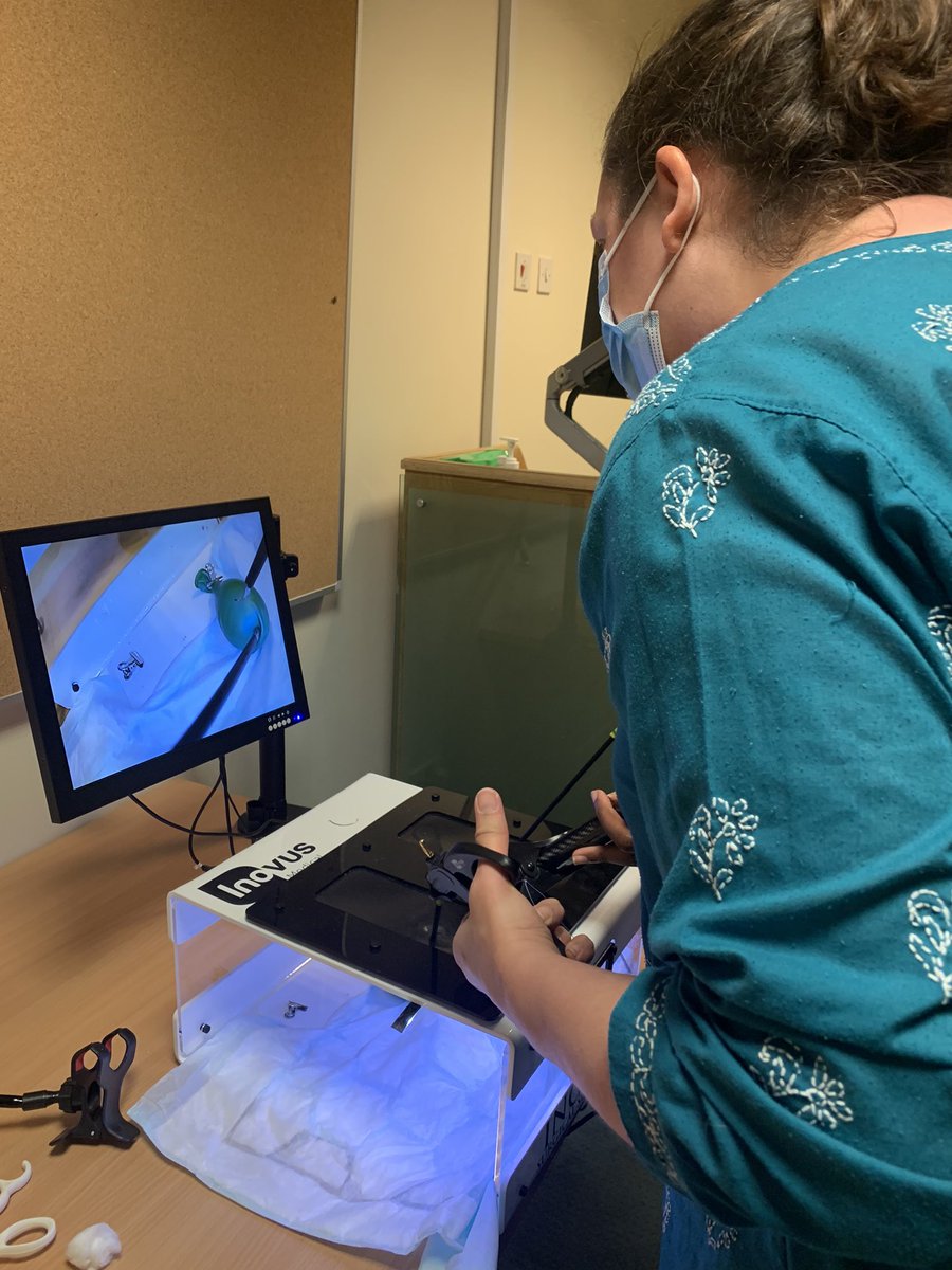 rebeccamallick's tweet photo. Another excellent #ksslaparoscopycourse @UHSussex @BSUHSimulation Today was a wet lab session with the ST1/2s. Great salpingectomy/ cystectomy+ electrosurgery skills!! Thanks @BOWAMEDICALUK & @Inovusmedical for their support! excellent faculty @bbmidd Ben George Louise https://t.co/oYQll4woVc