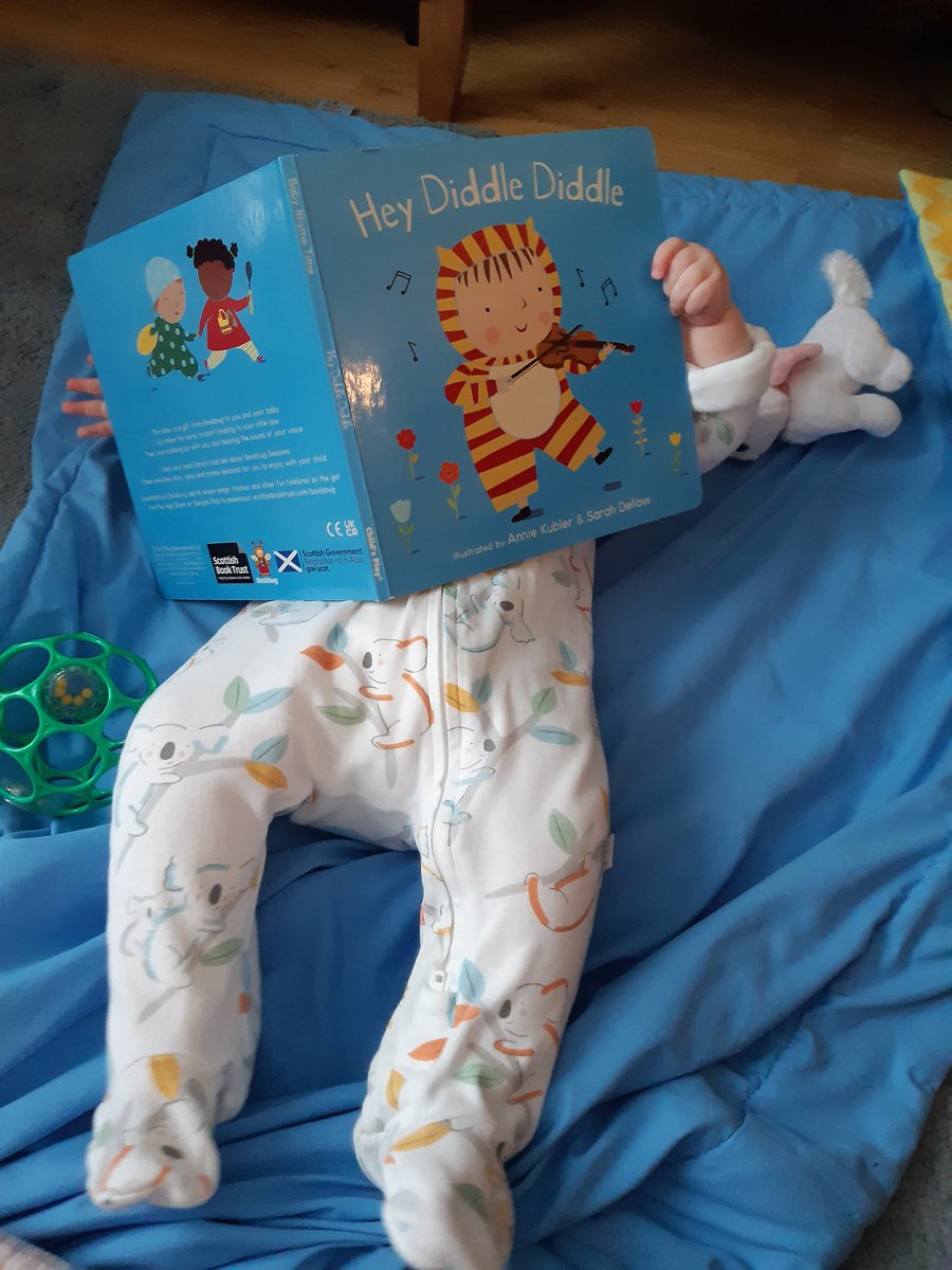 MrsMHedley's tweet photo. Six months of Audrey 💕 
Fastest 6 months of my life and loving it. 

Could do with some more sleep though...🤣 https://t.co/Pr8BZLTaIz
