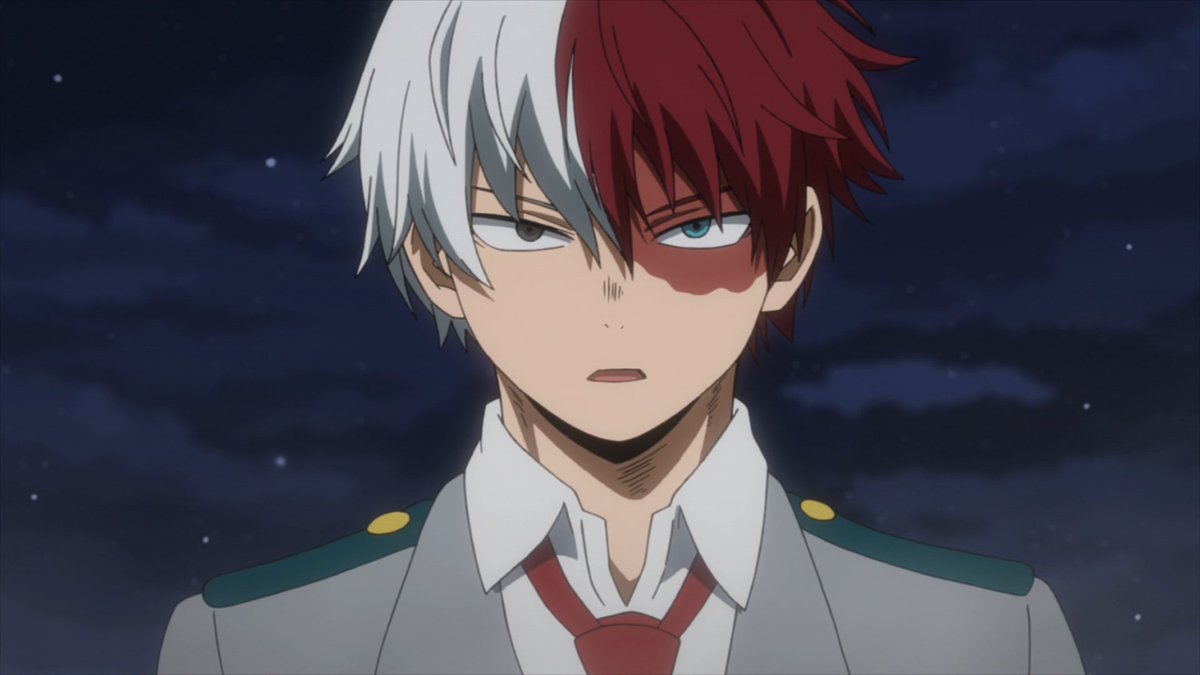 daily todoroki tweet media