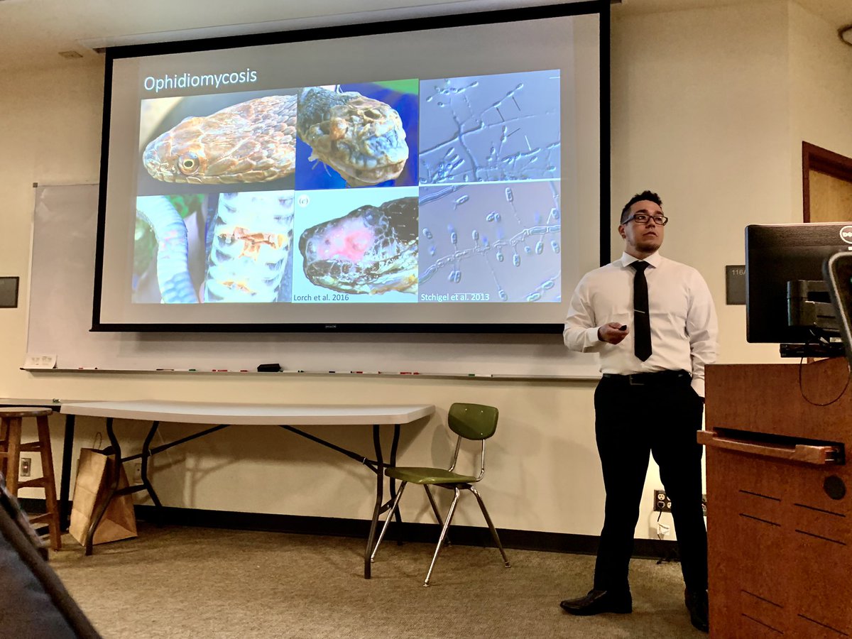 texcroc's tweet photo. I’m elated to present Dr. Stephen Harding, the first #RDZLab PhD student. He successfully defended his dissertation “Infection dynamics of Ophidiomyces ophiodiicola, the causative agent of ophidiomycosis, in Texas” #txst #txstbio #LatinxPI 🐍🧬🍄 https://t.co/wFzpG3CvIE