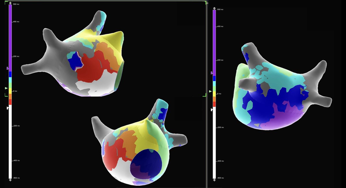 Paige Reisman - EP tweet media