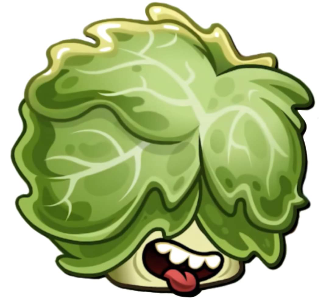 Латук PVZ 2
