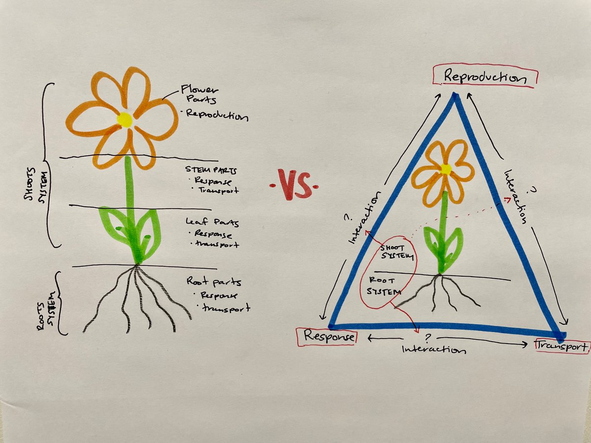 My old way of thinking (L) vs my current thinking (R) of #plantinteraction #10B Ss are really missing out on the heart of TEKS if #interactions isn't the focus. What are your thoughts? #conceptual #modeling @2G2Rclassroom @MrKopfler @Region4Science